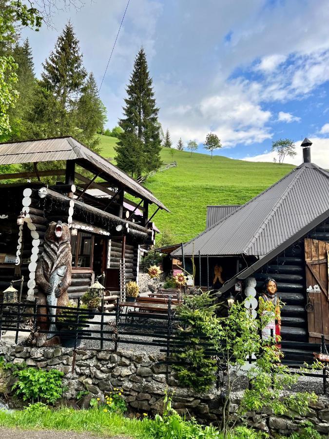 U Tsimborky Villa Synevyrsʼka Polyana Exterior foto
