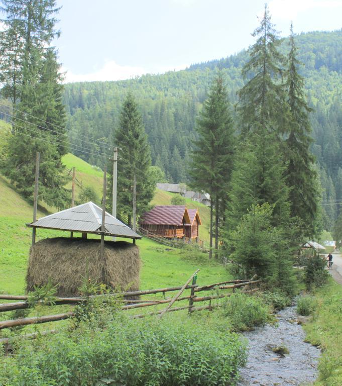 U Tsimborky Villa Synevyrsʼka Polyana Exterior foto